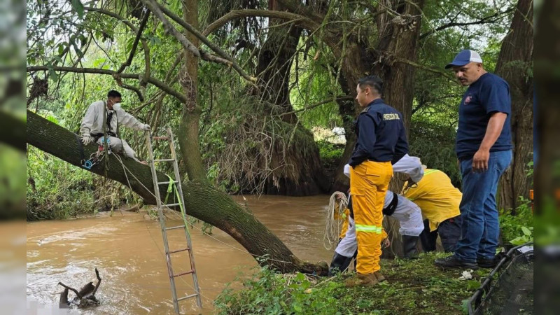 Muere hombre tras caer accidentalmente a un río en Tangancícuaro, Michoacán  