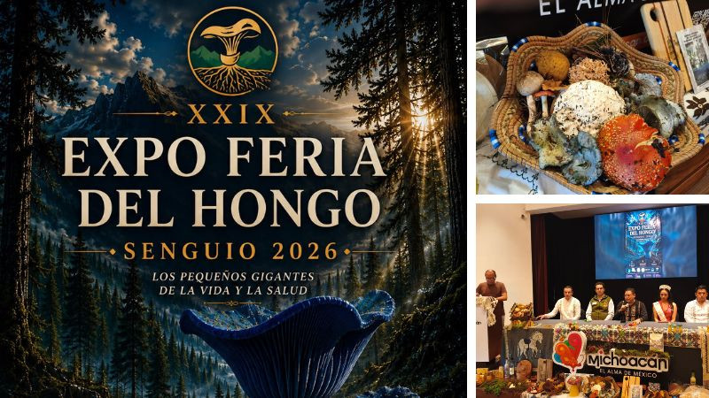 Senguio celebra la riqueza de sus bosques con la Expo Feria del Hongo 2026 