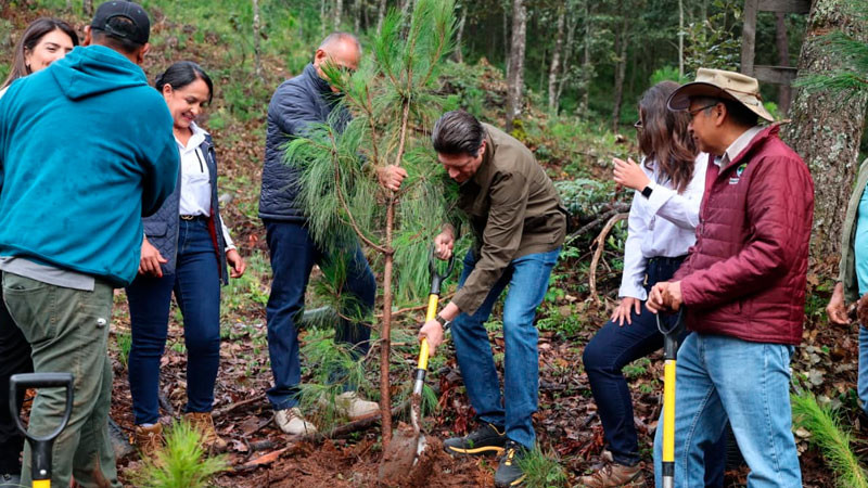 En Segundo Año de Gobierno, Alfonso Martínez consolida liderazgo ambiental de Morelia con nombramiento de Ciudad Árbol 