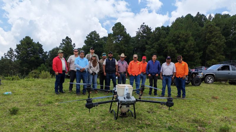 Restauran bosques de Tlalpujahua con la dispersión de 6 mil germoesferas 