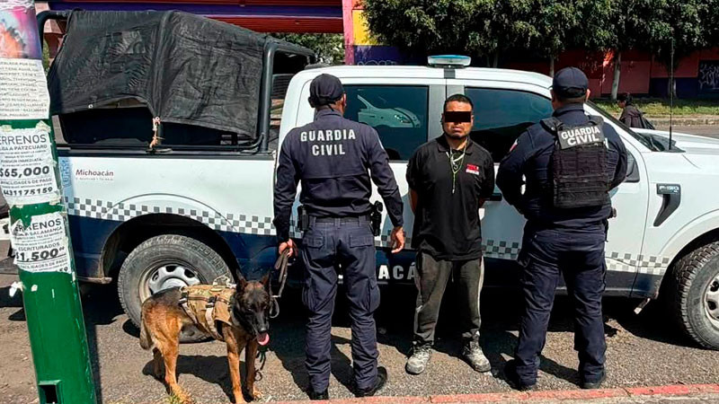 Con ayuda de binomio canino detienen a un sujeto en posesión de estupefacientes en Morelia, Michoacán 