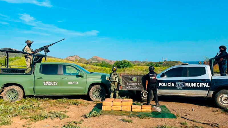 Aseguran 90 kilos de estupefaciente vegetal en LC, Michoacán  