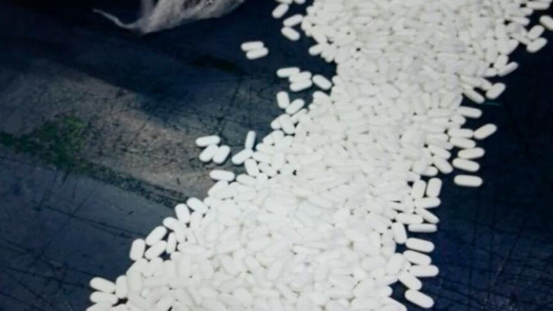 Aseguran más de 6 mil de pastillas en el AICM; carga tiene valor superior a los 6 mdp 