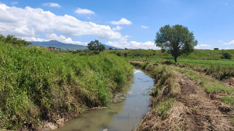 Avanza al 60% la limpieza del canal entre La Mintzita y San Juanito Itzícuaro en Morelia: Rogelio Zarazúa 