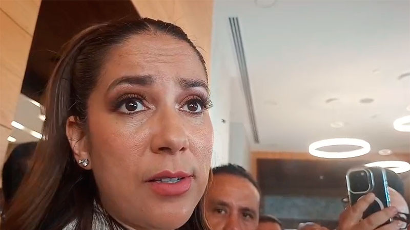 Sin incidencias en Guanajuato pese a violencia y bloqueos en Michoacán: Libia Denisse García 