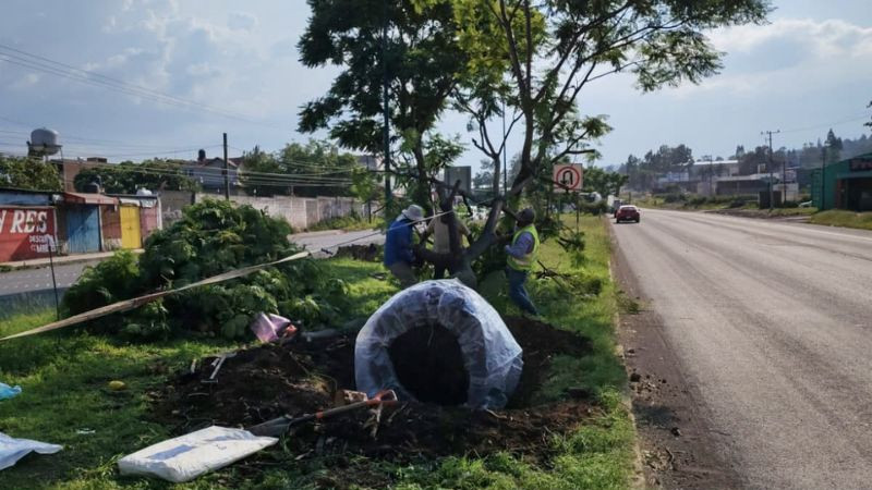 Cumple Gobierno del Estado con permisos ambientales del Morebús otorgados por el Ayuntamiento de Morelia 