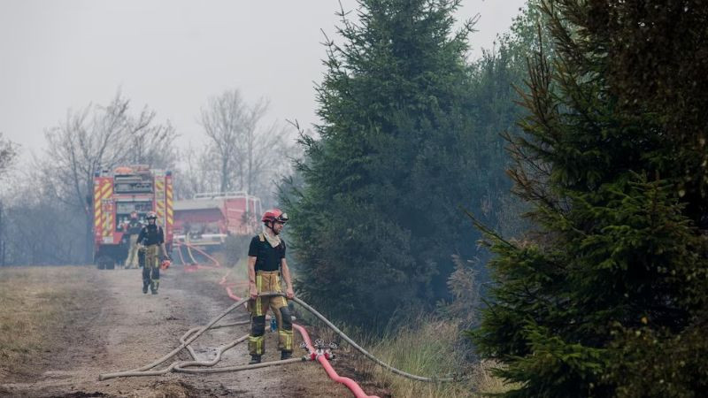 Incendio forestal en reserva natural de Bélgica queda bajo control tras siete días de labores 