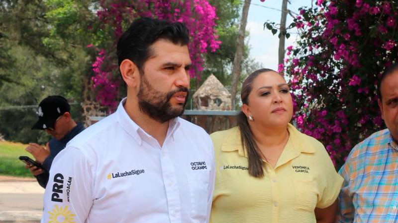 Octavio Ocampo pide coordinación por la defensa de los productores michoacanos de fresa  