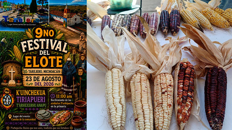 Festival del Elote reunirá gastronomía, tradición y cultura en Tarejero 