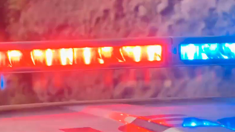 Fuerzas federales despliegan cateos en Michoacán y Jalisco contra presuntos operadores de grupo delictivo 