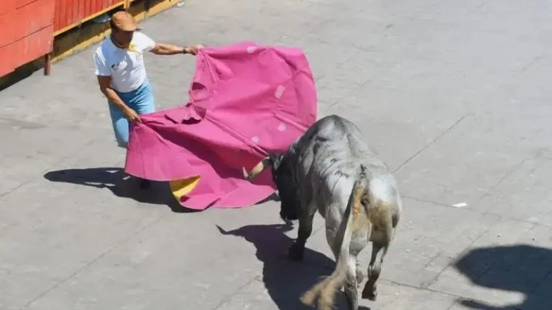 Huamantlada 2026 deja un hombre sin vida y nueve personas lesionadas 