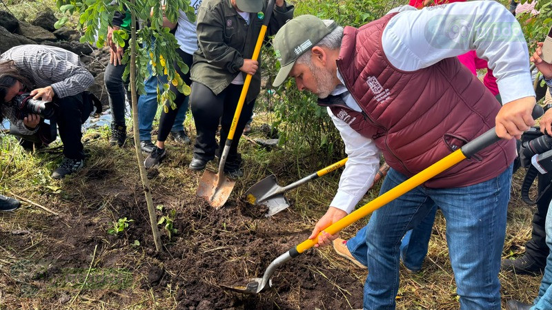Bedolla arranca Reforestación Morebús en Villas del Pedregal; más de 42 millones de árboles sembrados en su administración 