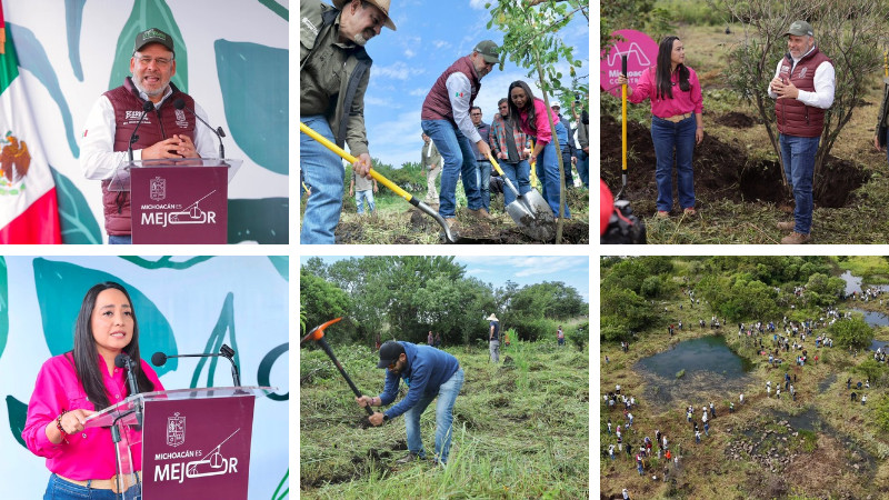 Inicia Bedolla reforestación de 32 mil árboles por obra del Morebús; plantan los primeros 5 mil en Villas del Pedregal 