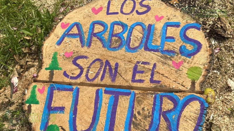 Barragán pide replantear proyecto del Morebus para proteger el medio ambiente 