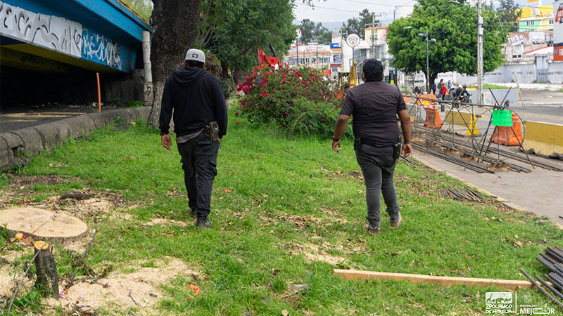 Zoológico de Morelia mantiene vigilancia para la fauna en la zona de Tres Puentes 