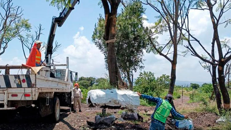 Zona de Tres Puentes contará con Corredor Ecológico; habrá árboles trasplantados y especies nativas 