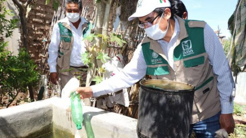 Recomienda IMSS Michoacán realizar acciones preventivas contra el dengue 
