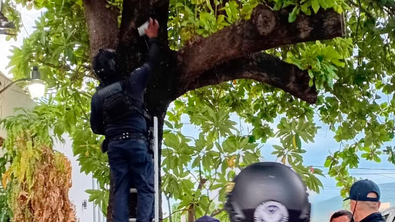 Aseguran SSP y fuerzas federales 12 cámaras parásitas en Apatzingán 