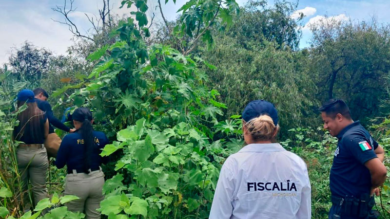 Presunto responsable de la desaparición de una mujer de 76 años en Morelia, Michoacán, es vinculado a proceso 