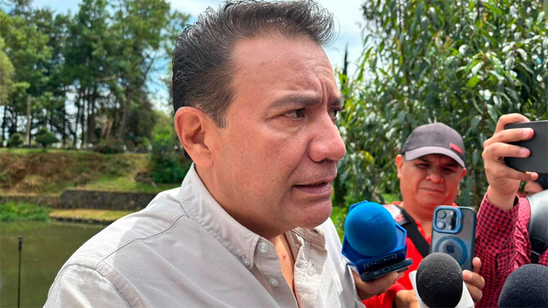 Película ‘Coco’ ha sido un gran reflector para Michoacán: Roberto Monroy 