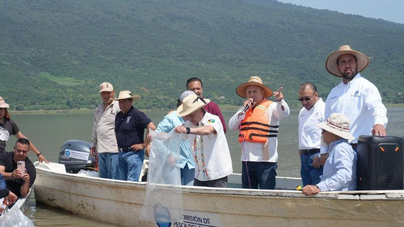 Compesca libera 80 mil nuevas crías de pez blanco en el lago de Pátzcuaro 