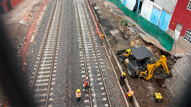 Federación no avisó sobre retiro de árbol en zona de la Antigua Estación del Tren en Querétaro 