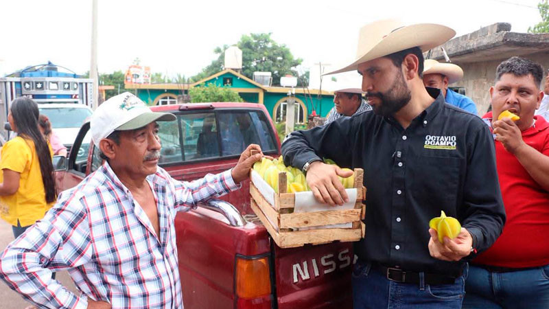 Queremos que la producción de guayaba se convierta en un motor de desarrollo sostenible para Juárez y para todo Michoacán: Octavio Ocampo 