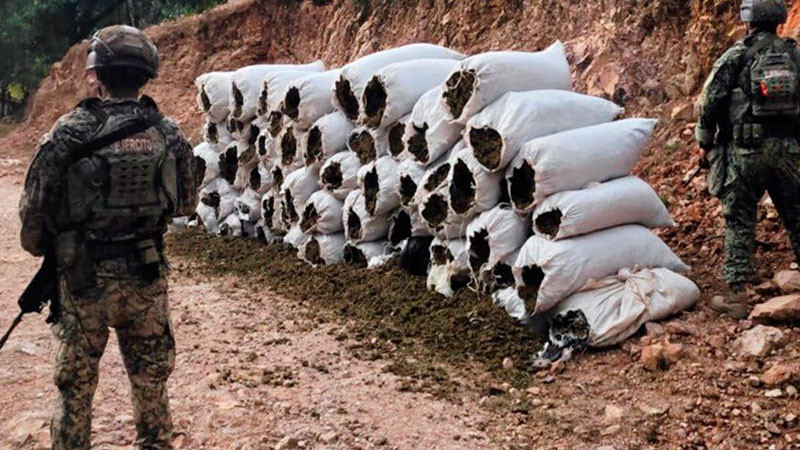 Operativos en Sinaloa dejan 12 detenidos, más de 30 armas largas, vehículos y estupefacientes  asegurados 
