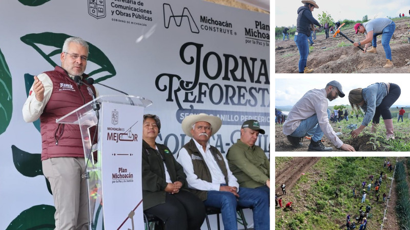 Avanza compromiso ambiental del Morebús con la plantación de 2 mil 500 árboles 