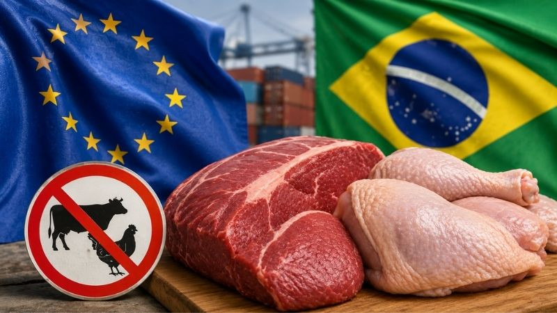 Unión Europea suspenderá importaciones de carne de Brasil a partir del 3 de septiembre 
