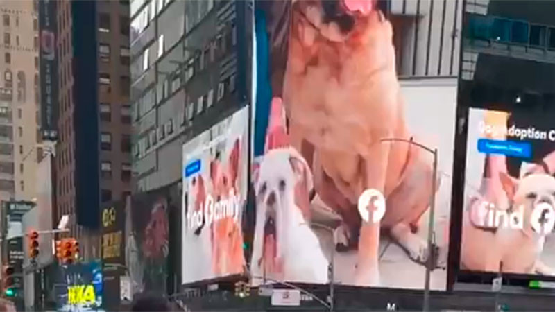 Ataque con arma blanca en Times Square deja una mujer sin vida y un herido; la atacante fue abatida por la policía 