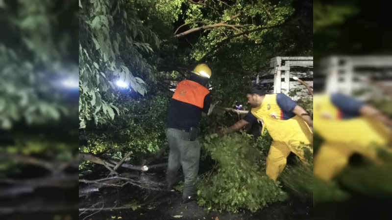 Lluvias y fuertes vientos dejan daños en viviendas y árboles caídos en Apatzingán, Michoacán 