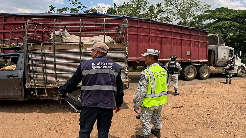 Inspecciona AGRICULTURA más de 80 mil cargamentos y 5 millones de cabezas de ganado contra el GBG 