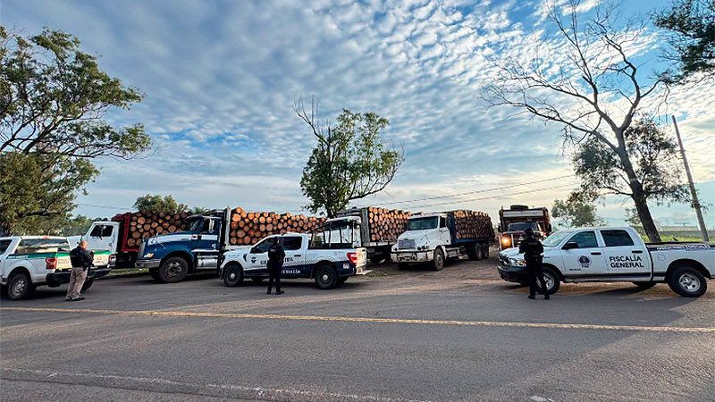 Asegura la Guardia Civil cinco camiones cargados con madera ilegal en Morelia, Michoacán 
