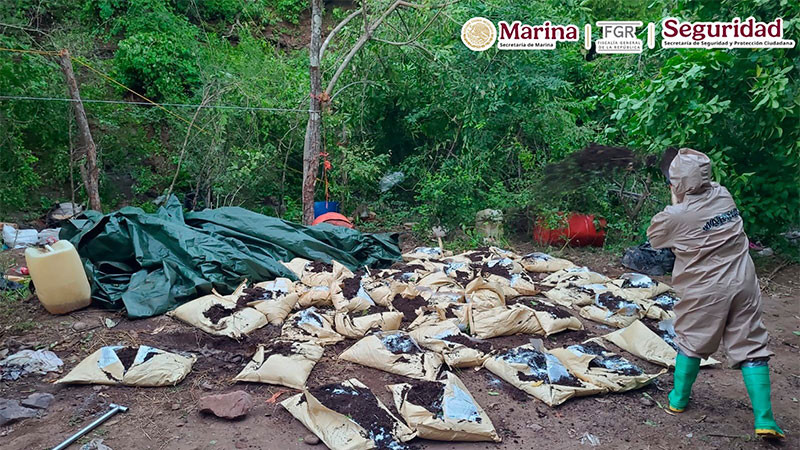Marina, en coordinación interinstitucional, inhabilita laboratorio clandestino de sustancias ilícitas en Sinaloa  