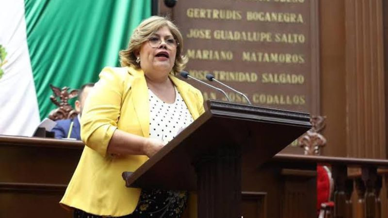 Julieta García Zepeda: de una diputación plurinominal regalada a buscar Lázaro Cárdenas 