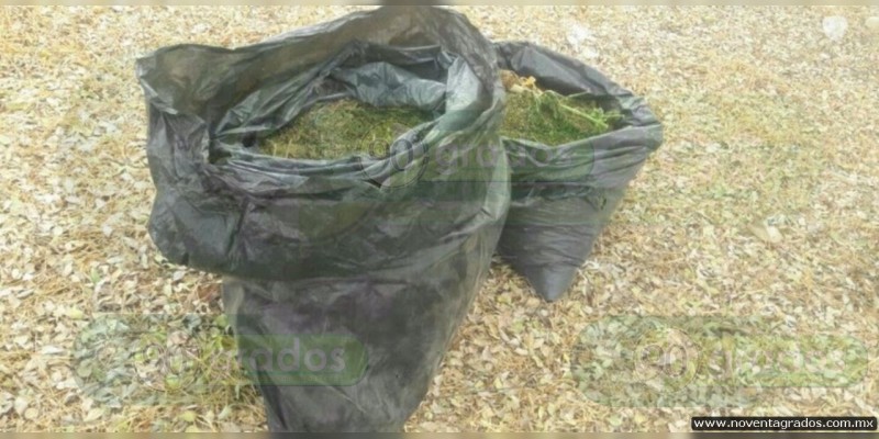 Abandonadas, localizan bolsas con más de 10 kilos de mota en Múgica - Foto 1 