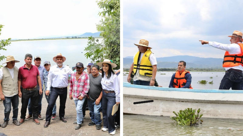Avanza retiro de lirio en Presa Malpaís de Queréndaro; 500 hectáreas serán limpiadas: Bedolla 