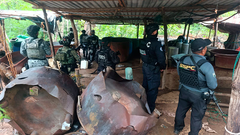 Cooperación México-EU permite desmantelar tres laboratorios clandestinos en Guerrero, destaca Ronald Johnson  
