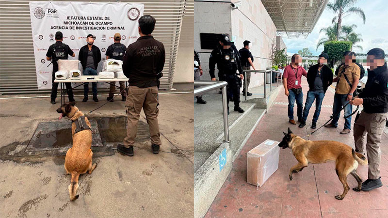Detienen en la Terminal de Autobuses de Morelia, Michoacán a sujeto en posesión de sustancias ilícitas  