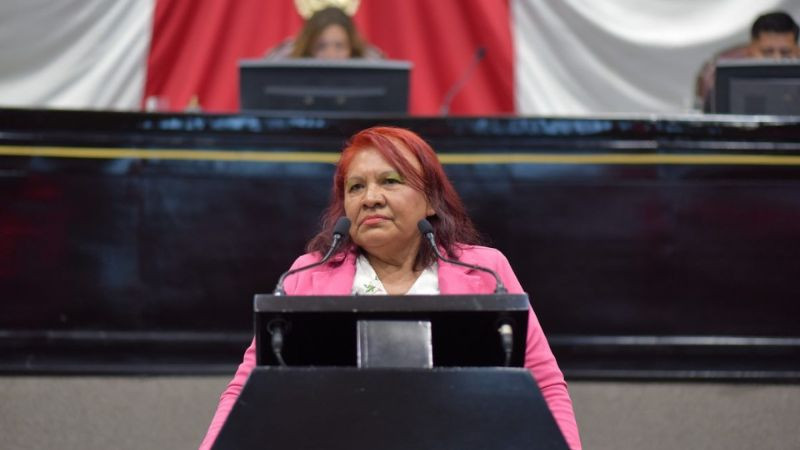 Diputada de Morena busca llevar café veracruzano a Marte para alcanzar la “soberanía espacial” 