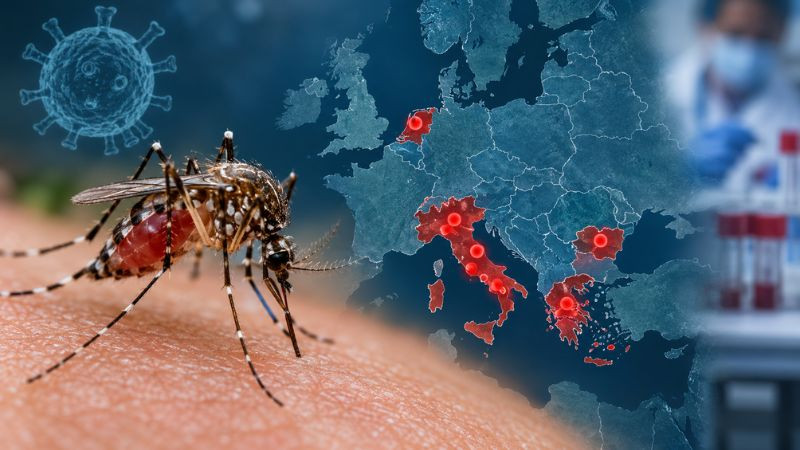 Aumentan contagios y fallecimientos por virus del Nilo Occidental en Europa durante 2026 