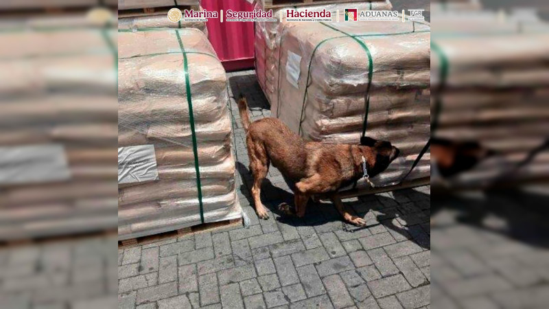 Detectan e inmovilizan más de 54 toneladas de químicos en la Aduana de Manzanillo, Colima; FGR solicitó asegurar el cargamento 