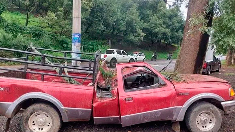 En Tacámbaro, Michoacán: Cae un árbol sobre una camioneta, dejando cuatro personas heridas 