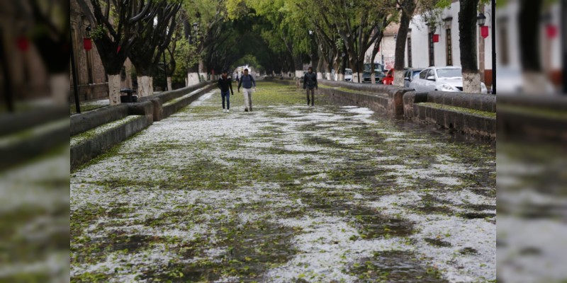 Hermosa galería tras tormenta en Morelia  - Foto 10 