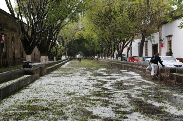 Hermosa galería tras tormenta en Morelia  - Foto 5 