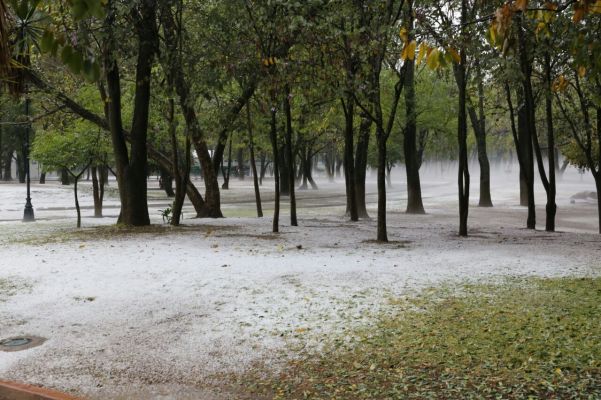 Hermosa galería tras tormenta en Morelia  - Foto 6 