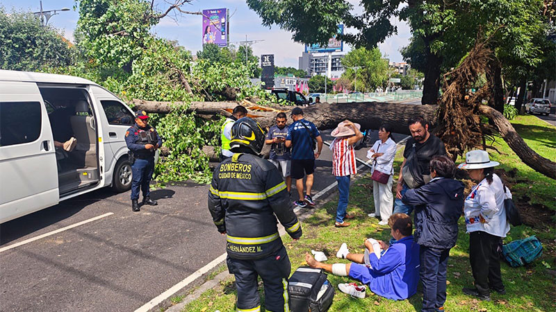 Árbol cae sobre transporte público en la CDMX y deja dos personas lesionadas 