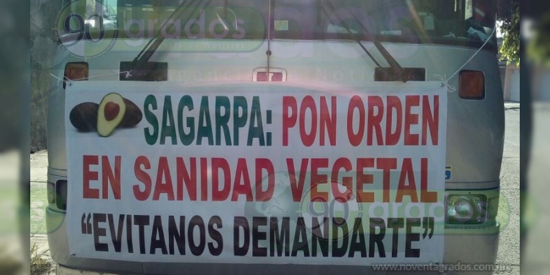 Productores aguacateros de Uruapan amenazan con tomar SAGARPA 