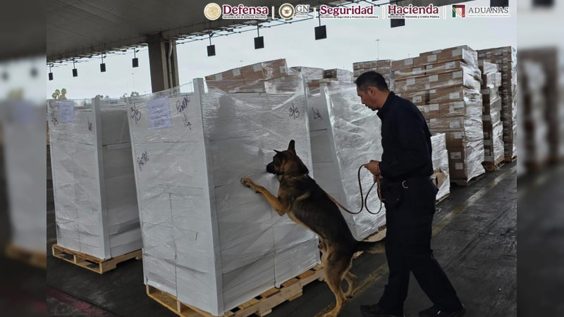 Inmovilizan más de 27 toneladas de químicos en la Aduana de Lázaro Cárdenas, Michoacán  